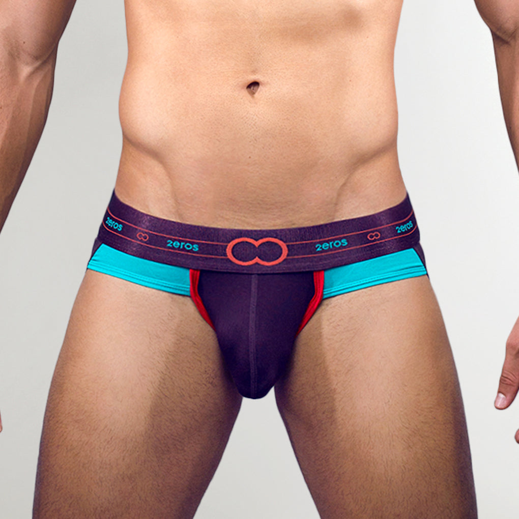 2Eros 2 Series Jockstrap Wine