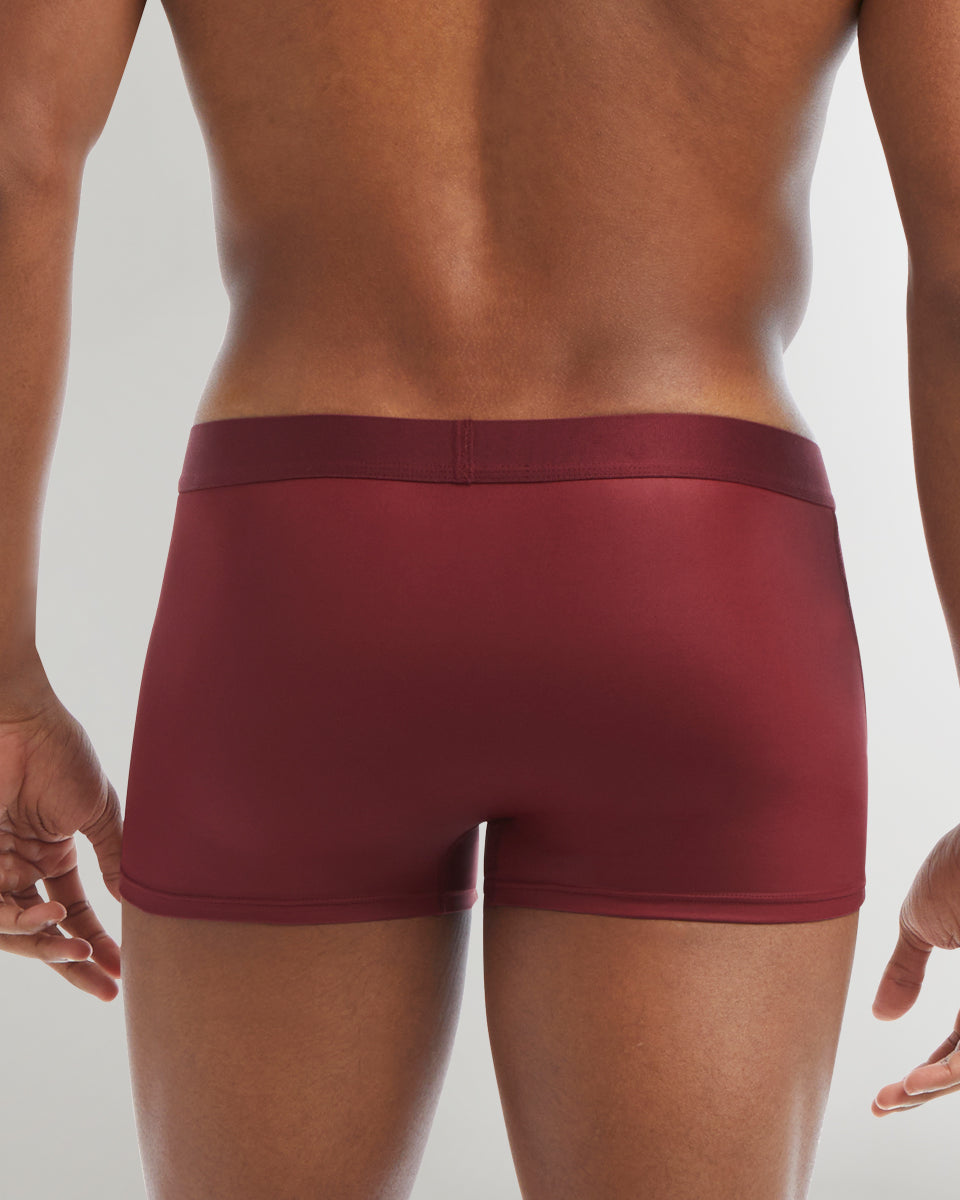 2(X)IST Sliq Trunk 2(X)IST Sliq Trunk Cordovan