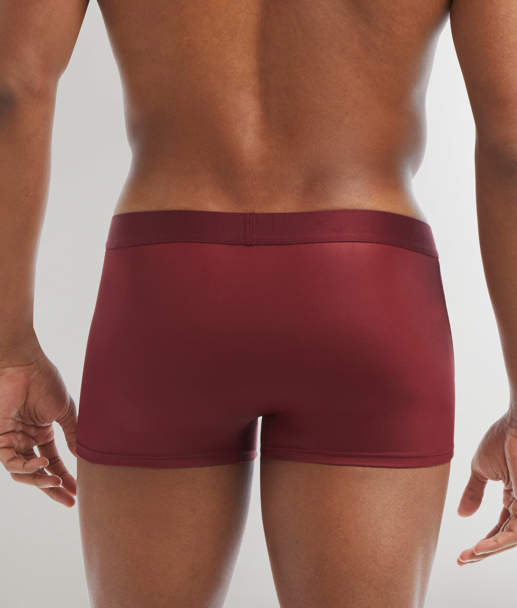 2(X)IST Sliq Trunk 2(X)IST Sliq Trunk Cordovan