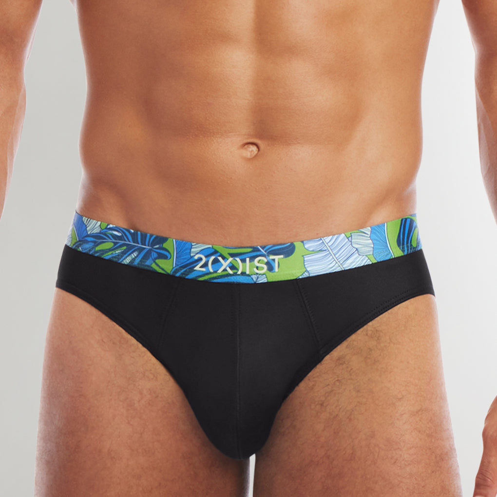 2(X)IST Sliq Brief 2(X)IST Sliq Brief Black-beauty-w-beverly-hills-palm-waistband