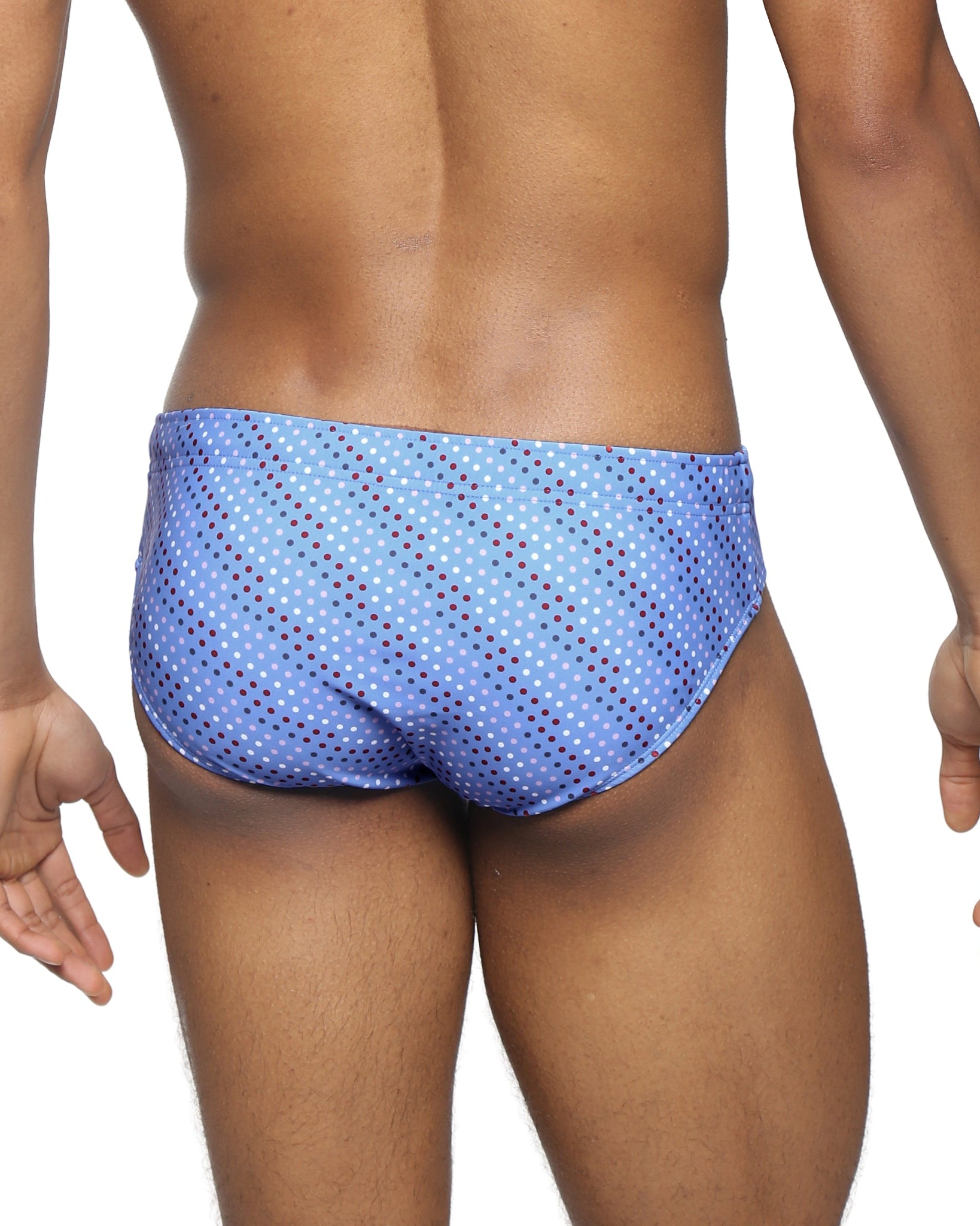 Parke & Ronen Mirage Cascade Meridian Swim Brief - men's low-rise swim brief in mirage cascade, back view