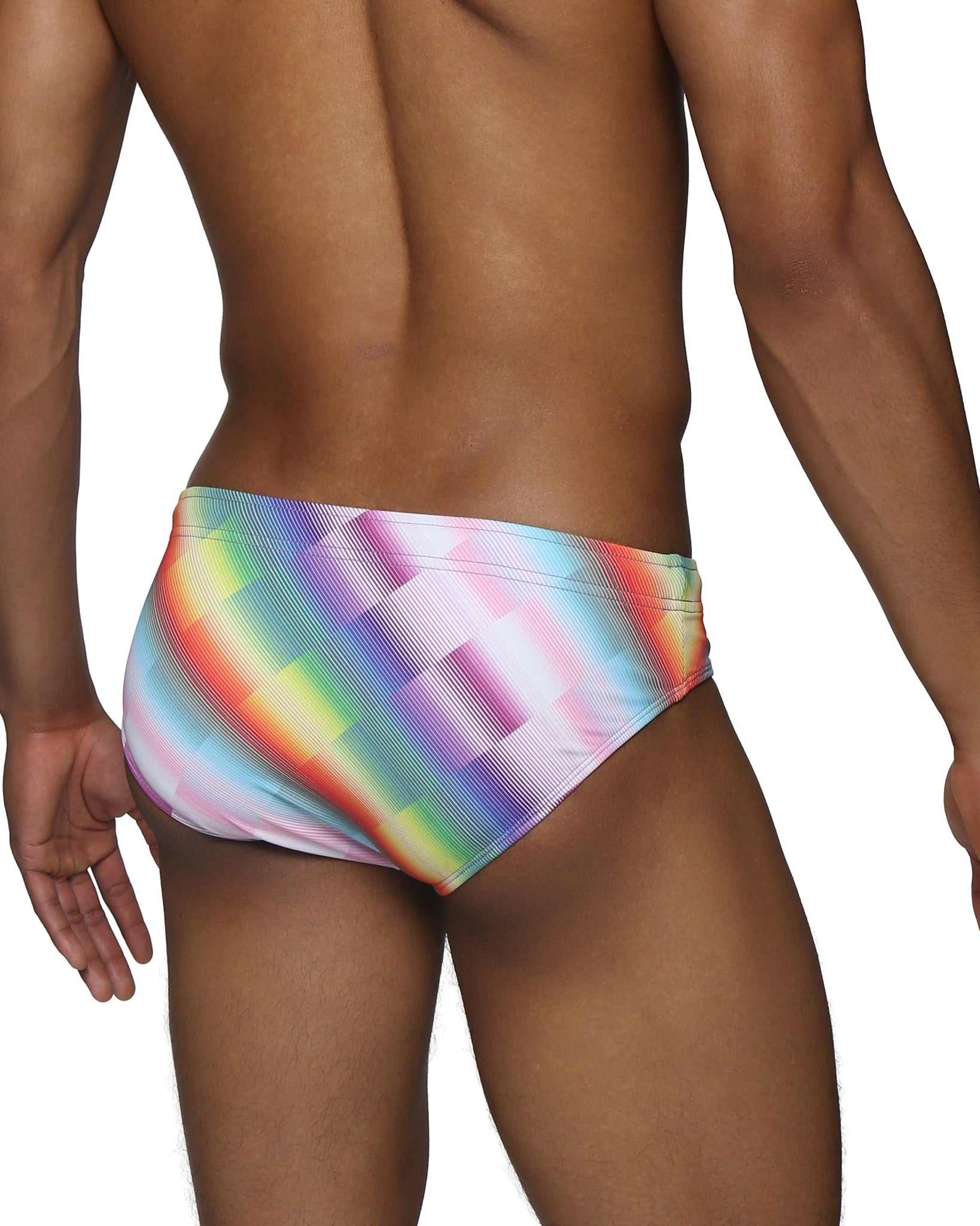 Parke & Ronen Paradise Twilo Meridian Bikini - mens swim briefs back view