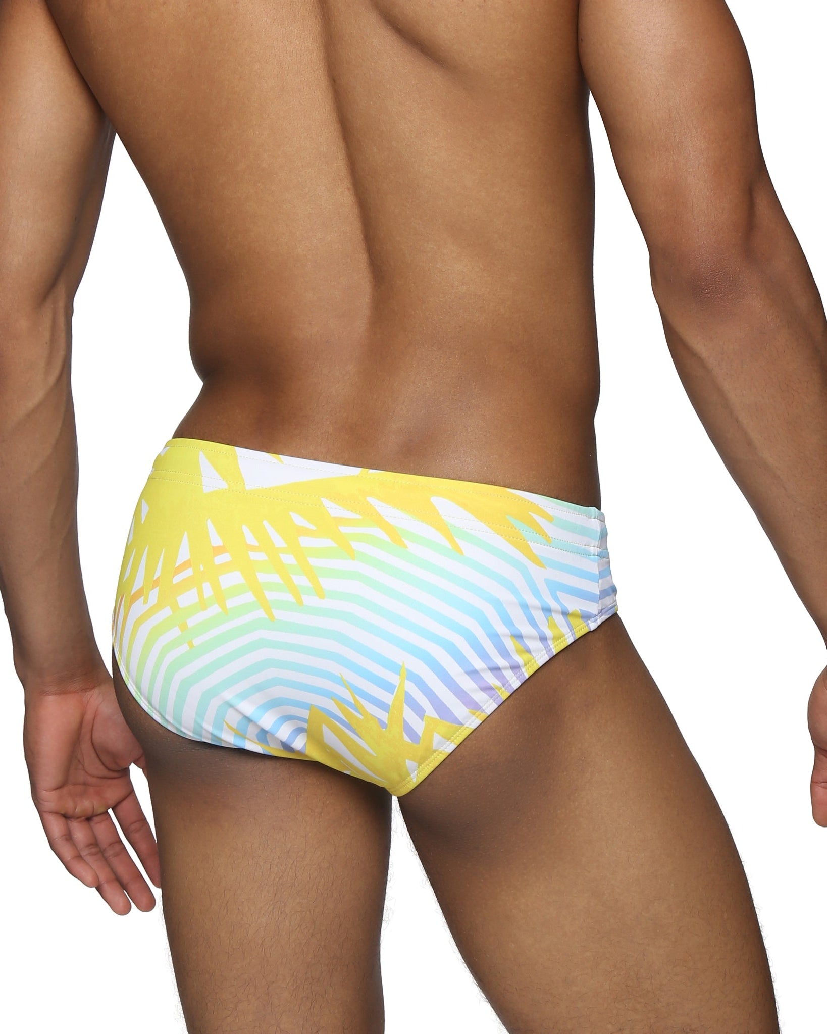 Parke & Ronen Sun Praia Meridian Bikini - mens swim briefs back view