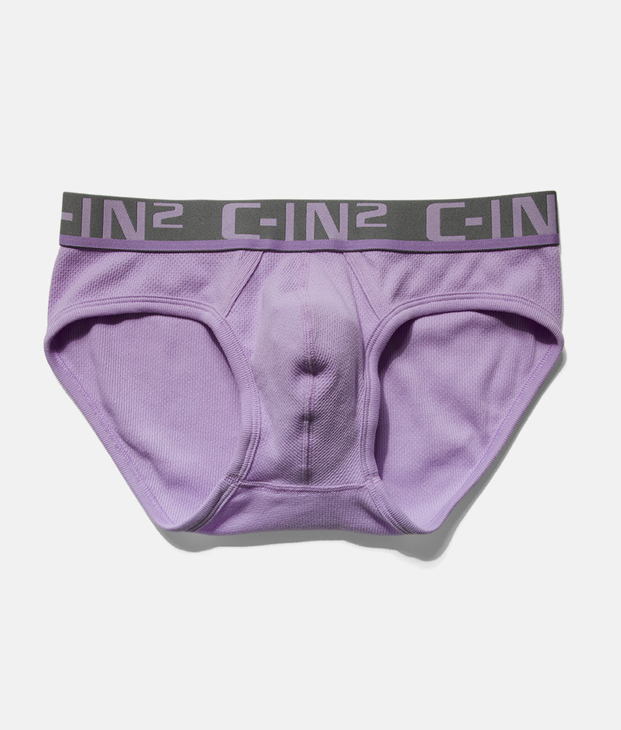 C-IN2 C-Theory Brief C-IN2 C-Theory Brief Pablo-purple