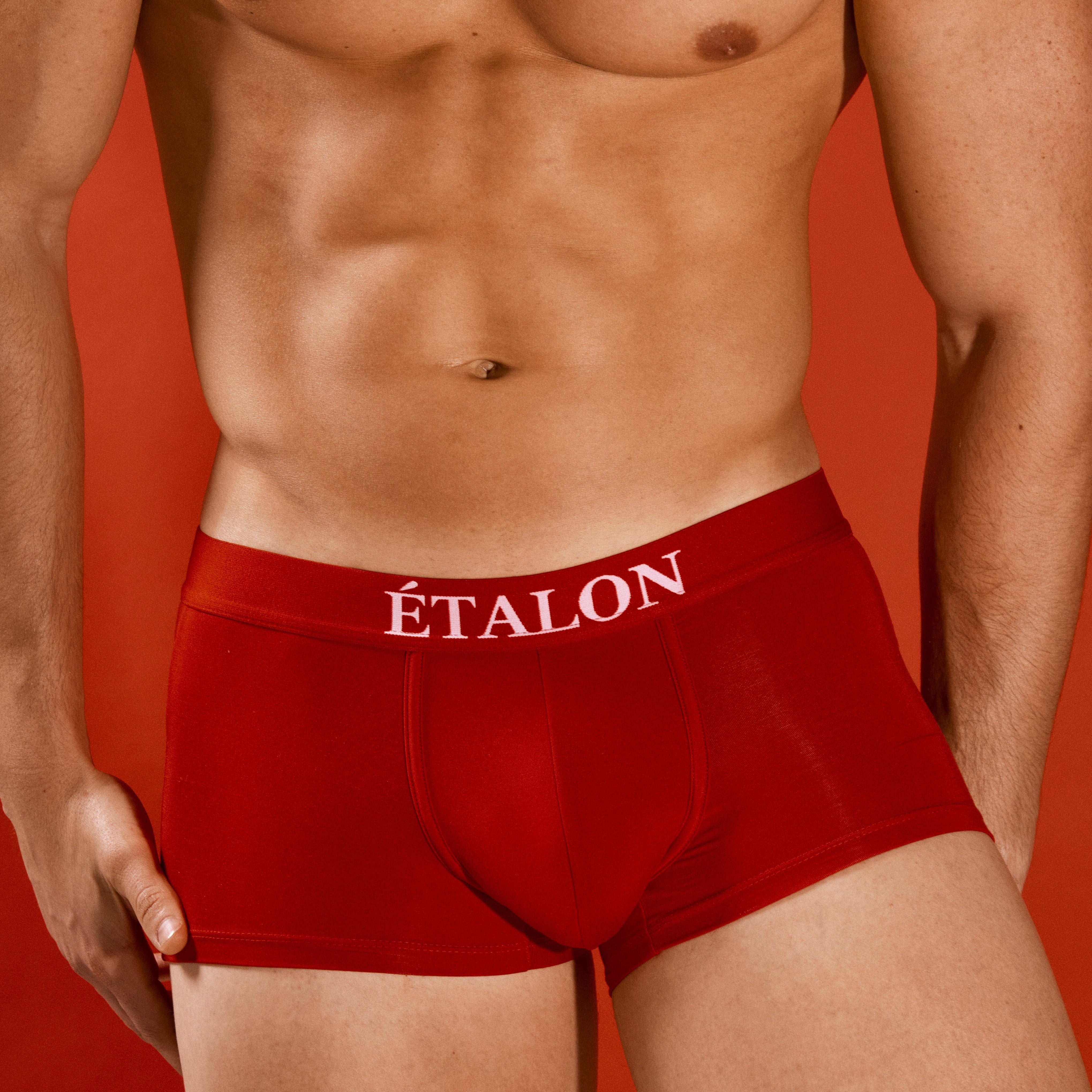 Etalon Signature Boxer Brief - mens boxer briefs 1-inch waistband branding, close-up