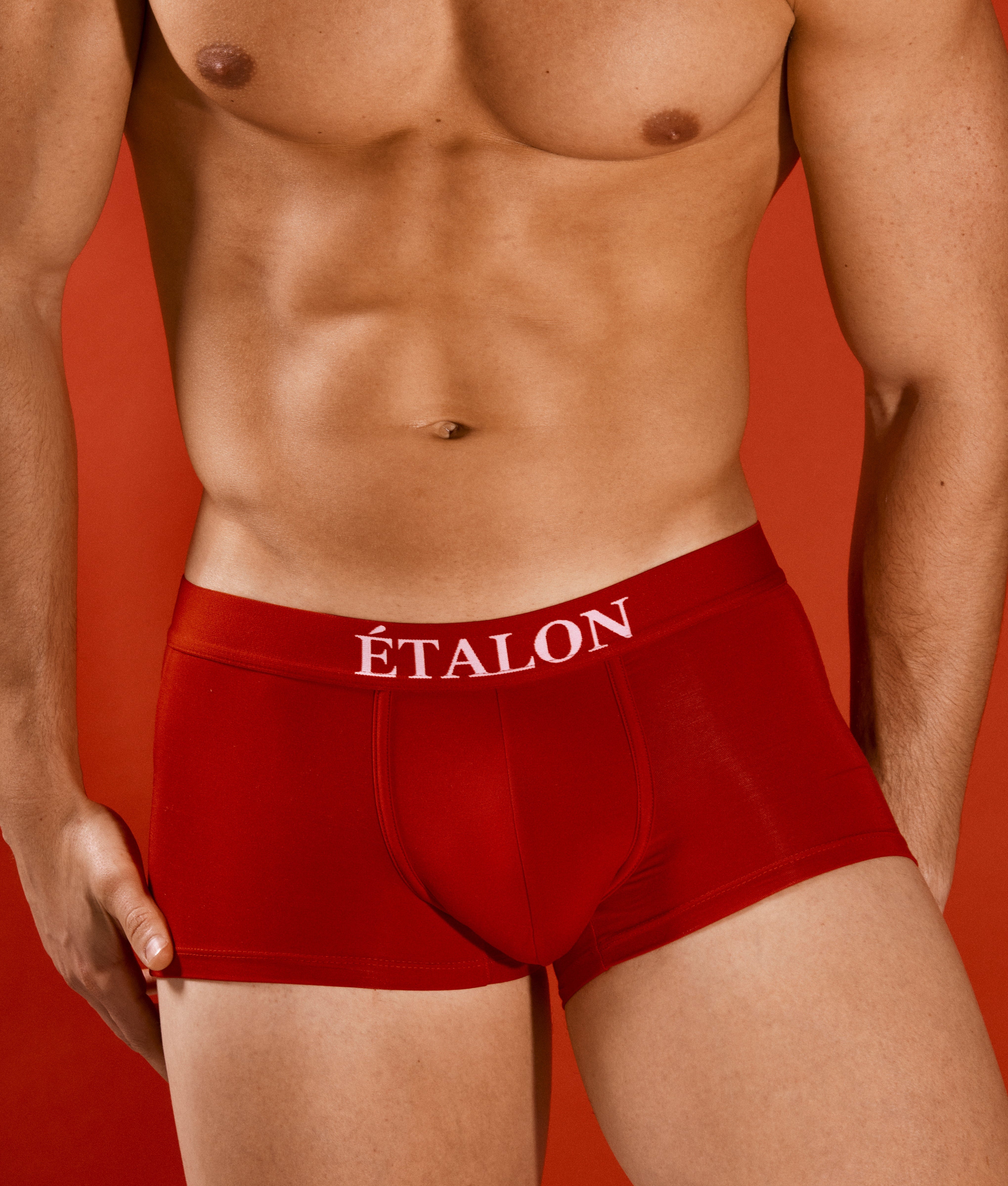 Etalon Signature Boxer Brief - mens boxer briefs 1-inch waistband branding, close-up