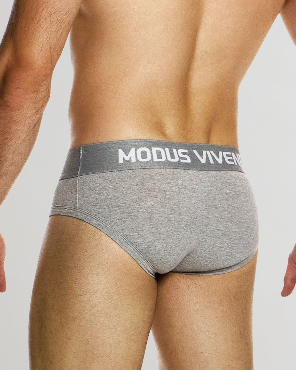 Modus Vivendi Classic Brief Grey