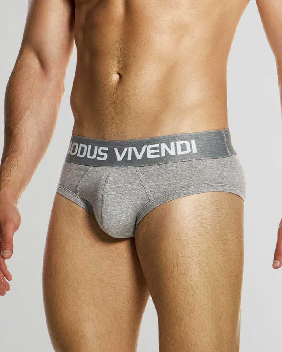 Modus Vivendi Classic Brief Grey