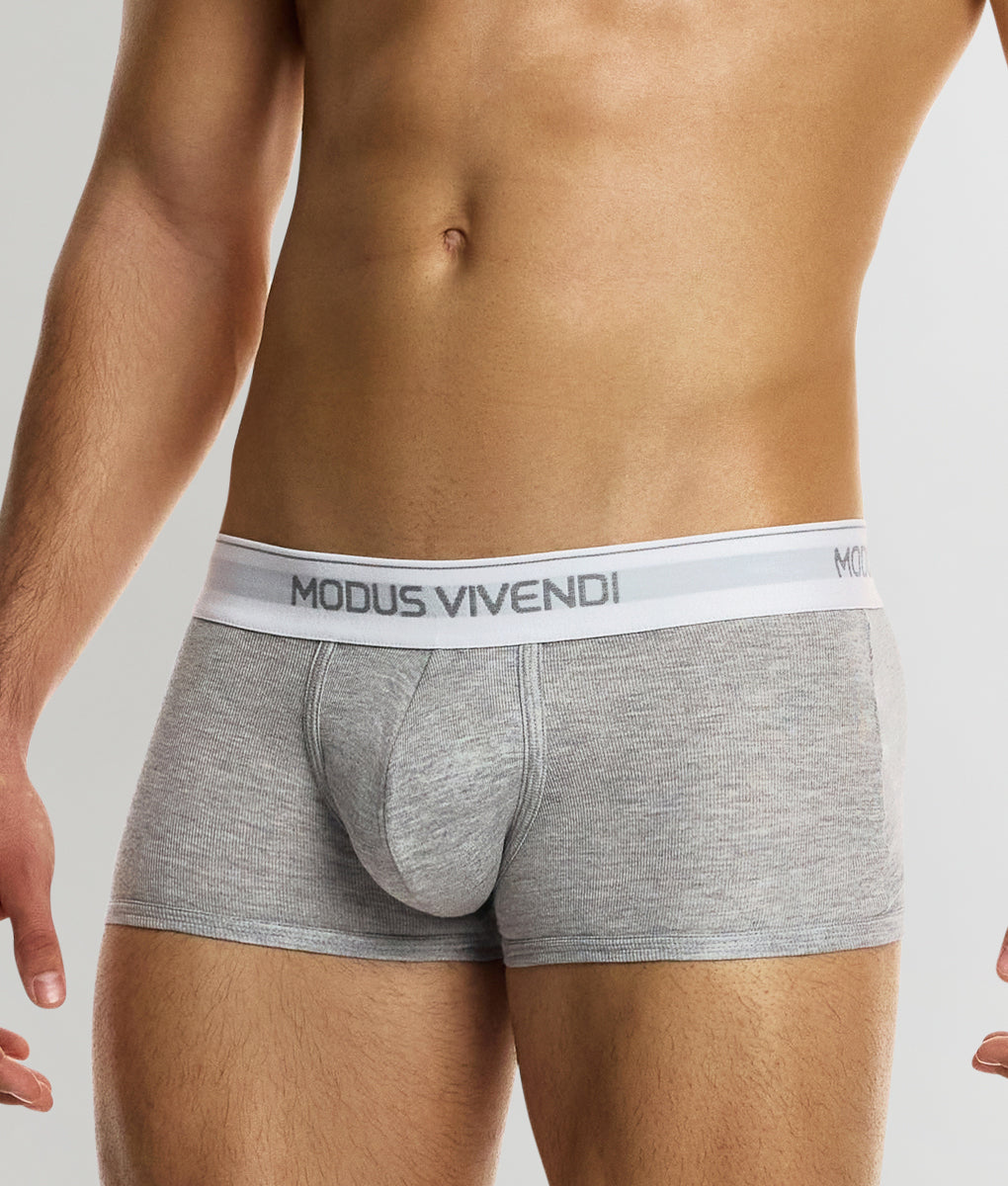 Modus Vivendi Staple Trunk Modus Vivendi Staple Trunk Grey
