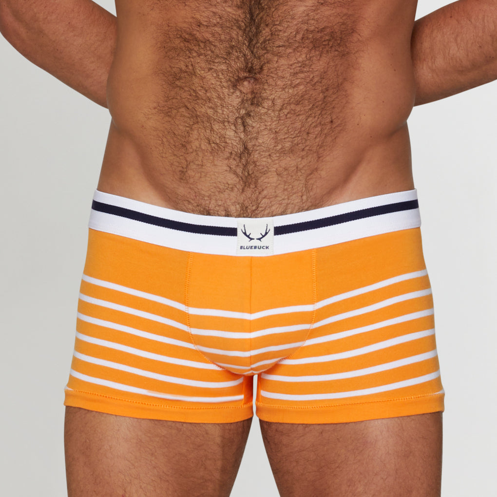 Bluebuck Nautical Trunk