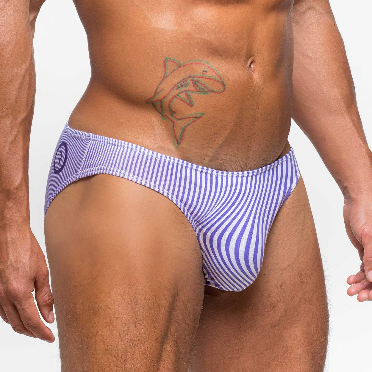 Rounderbum Waveform Bikini Brief