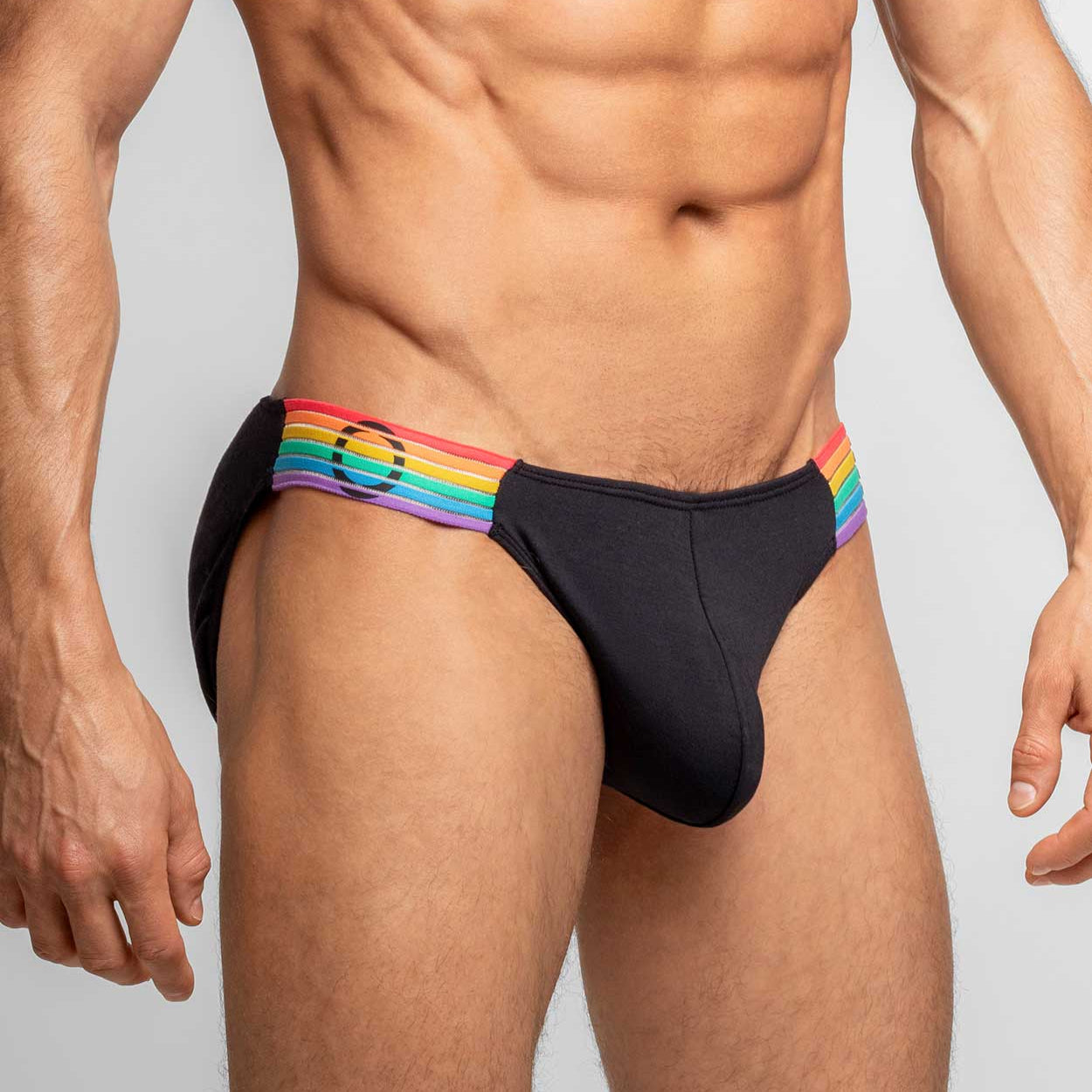 Rounderbum Waveform Pride Padded Bikini Brief