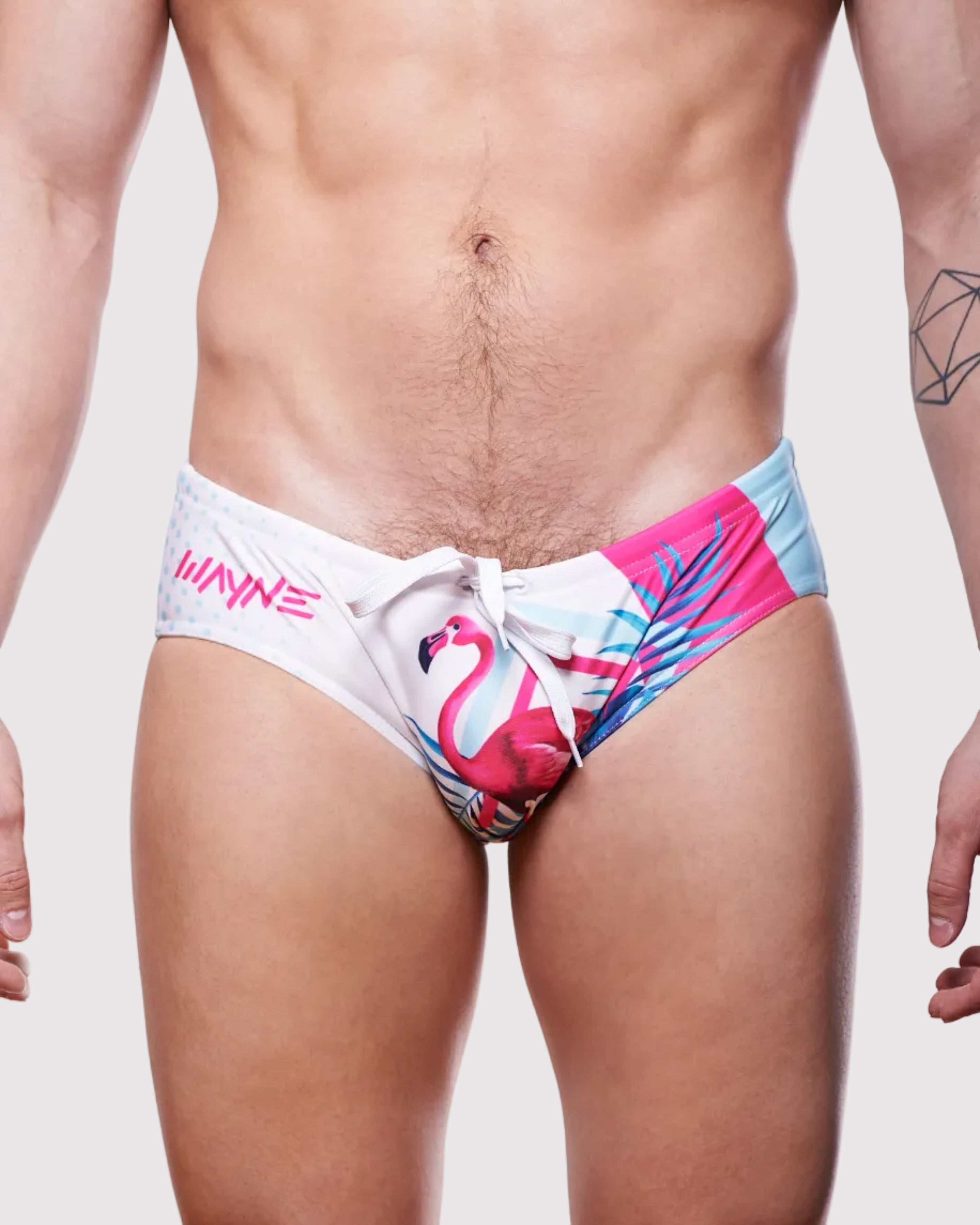 Wayne Flamingo Paradise Speedo Flamingo Colors - mens swim briefs front view