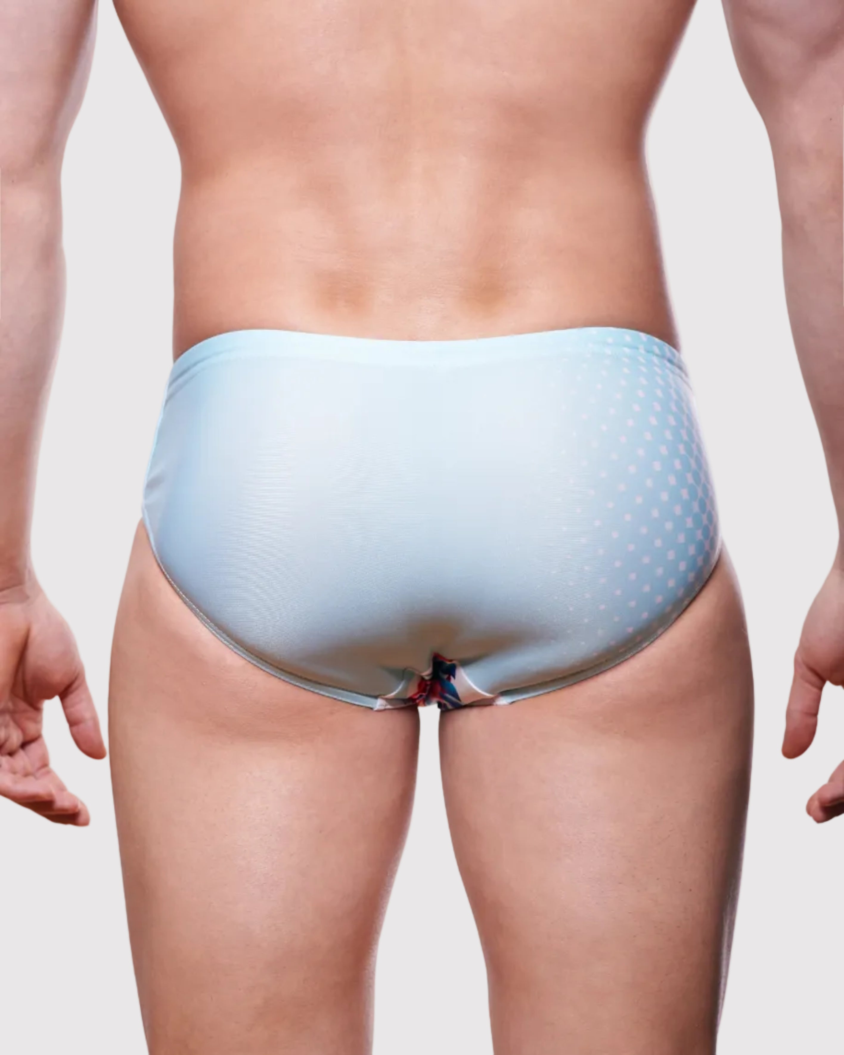 Wayne Flamingo Paradise Speedo Flamingo Colors - men's swim brief back view