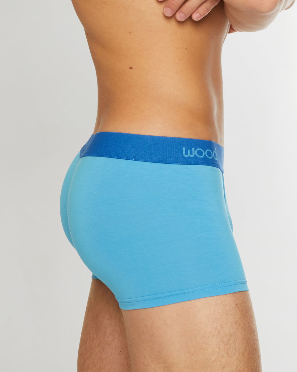 Wood Trunk Light-blue