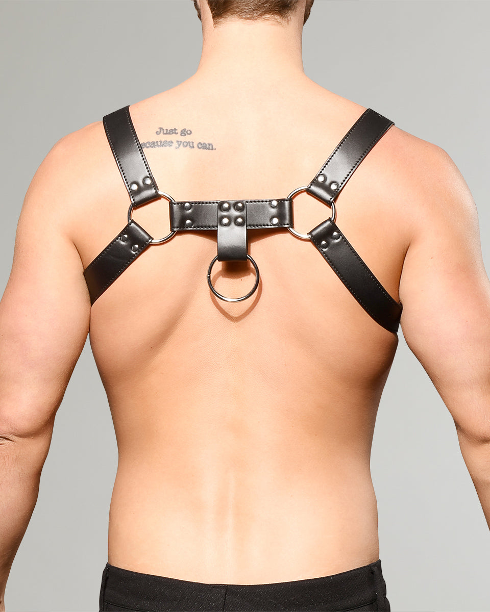 Andrew Christian Ring Harness Andrew Christian Ring Harness Black