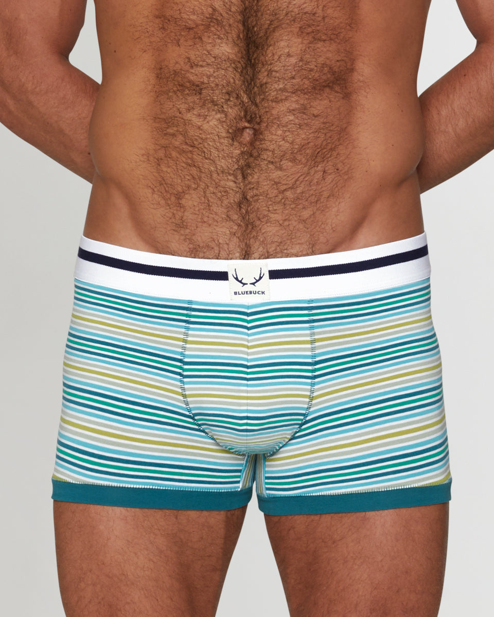 Bluebuck Mini Stripe Trunk Bluebuck Mini Stripe Trunk Small-green-stripes
