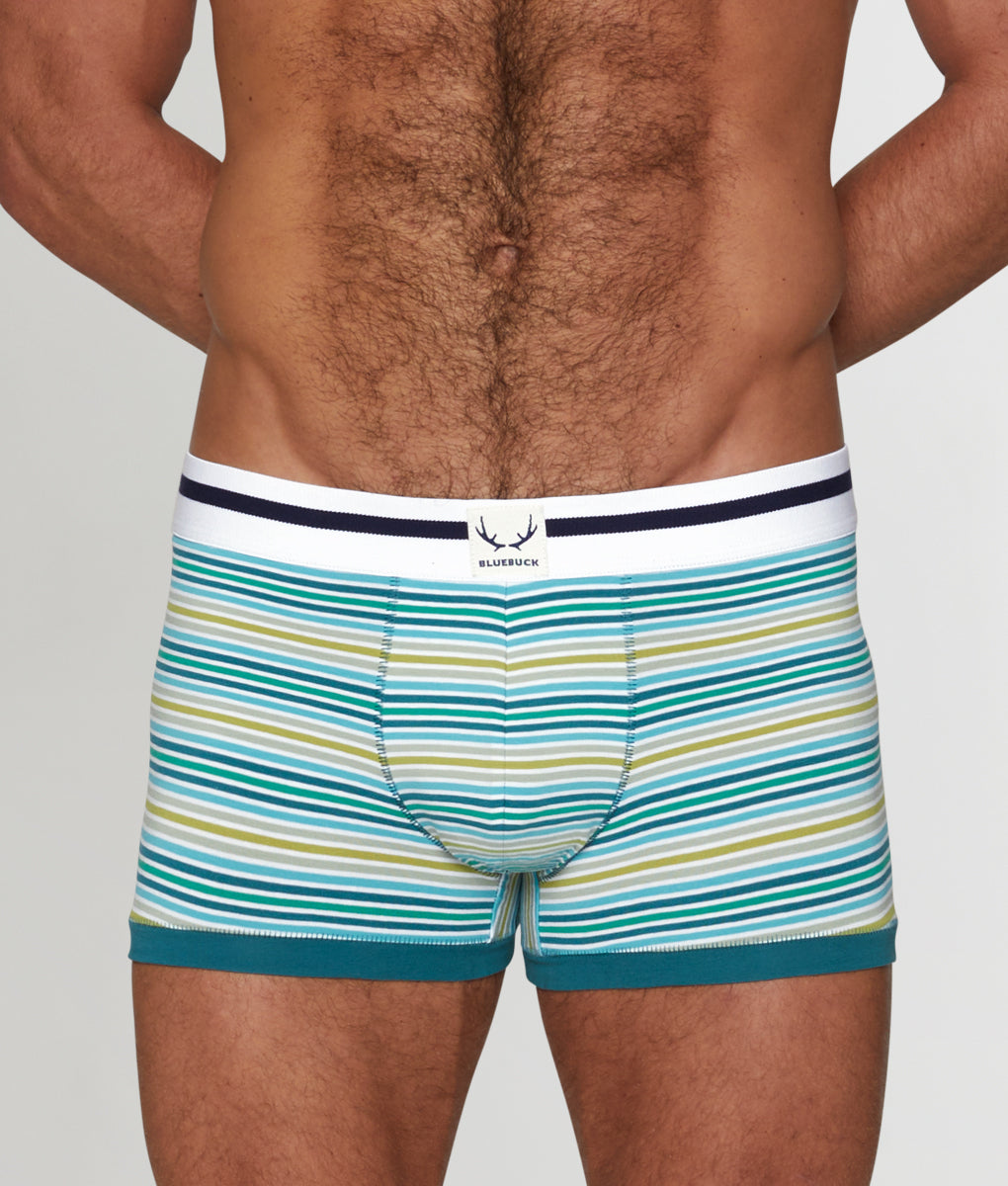Bluebuck Mini Stripe Trunk Bluebuck Mini Stripe Trunk Small-green-stripes