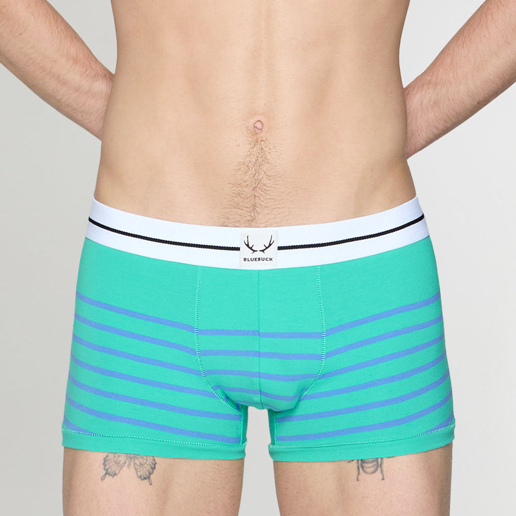 Bluebuck Nautical 25 Trunk Mint-leaf-blue-yonder-stripes