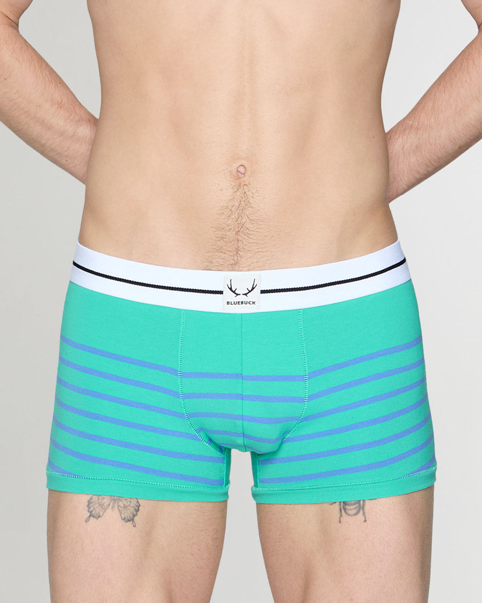 Bluebuck Nautical 25 Trunk Mint-leaf-blue-yonder-stripes