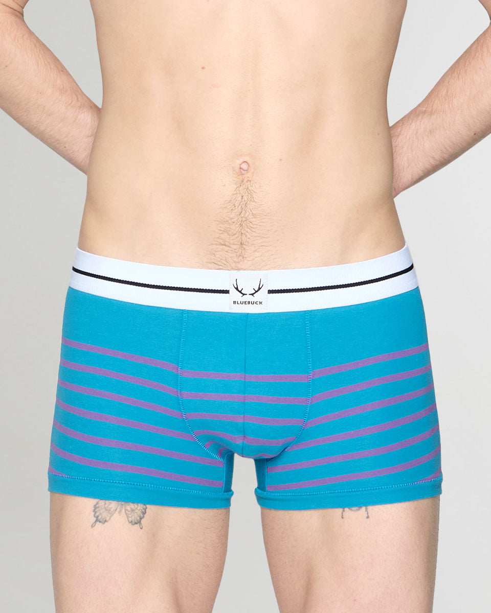 Bluebuck Nautical 25 Trunk Mosaic-blue-deep-lavander