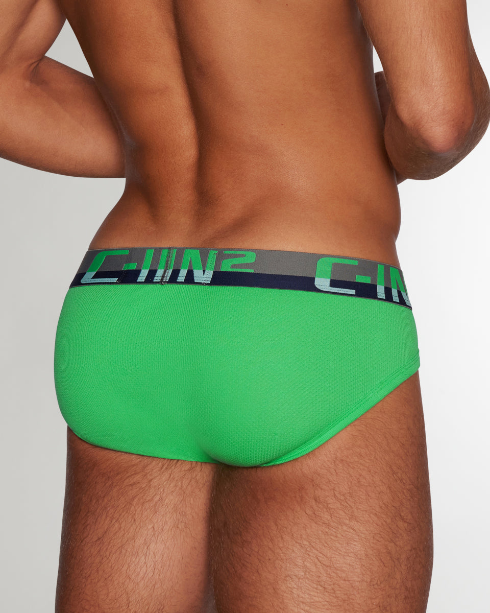 C-IN2 C-Theory Brief Godfry-green