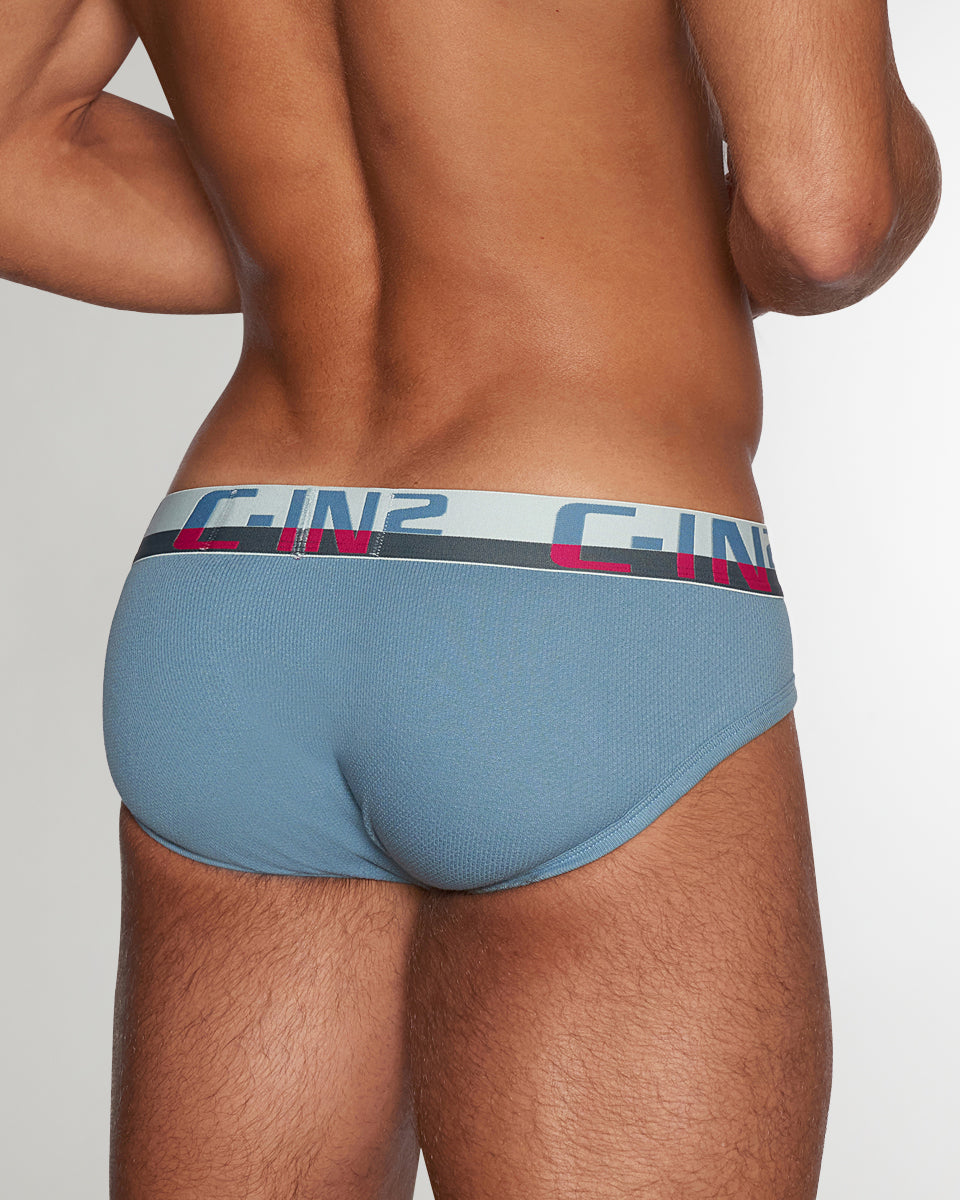 C-IN2 C-Theory Brief Borris-blue