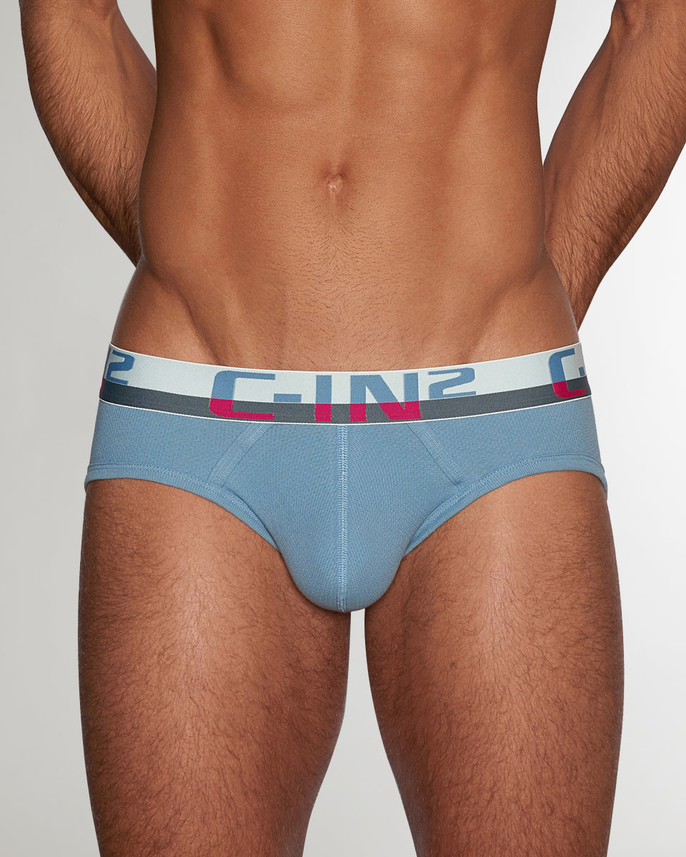 C-IN2 C-Theory Brief Borris-blue