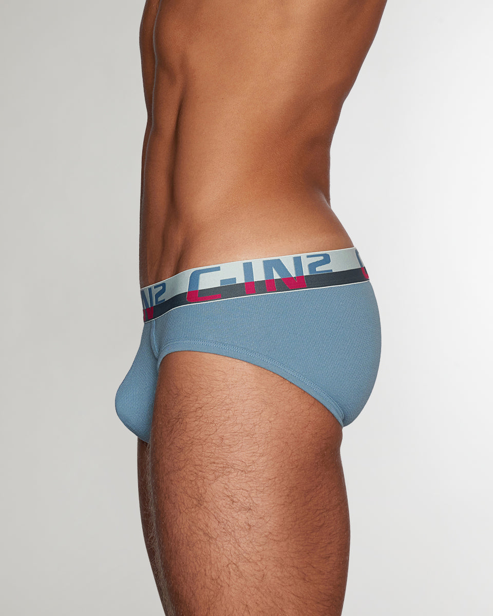 C-IN2 C-Theory Brief Borris-blue