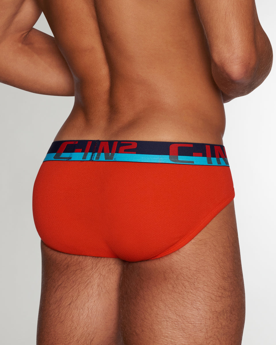 C-IN2 C-Theory Brief Ruel-red