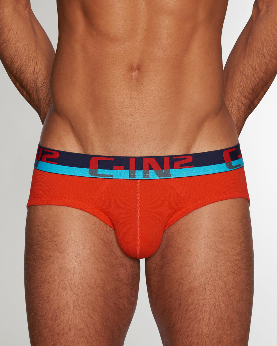 C-IN2 C-Theory Brief Ruel-red