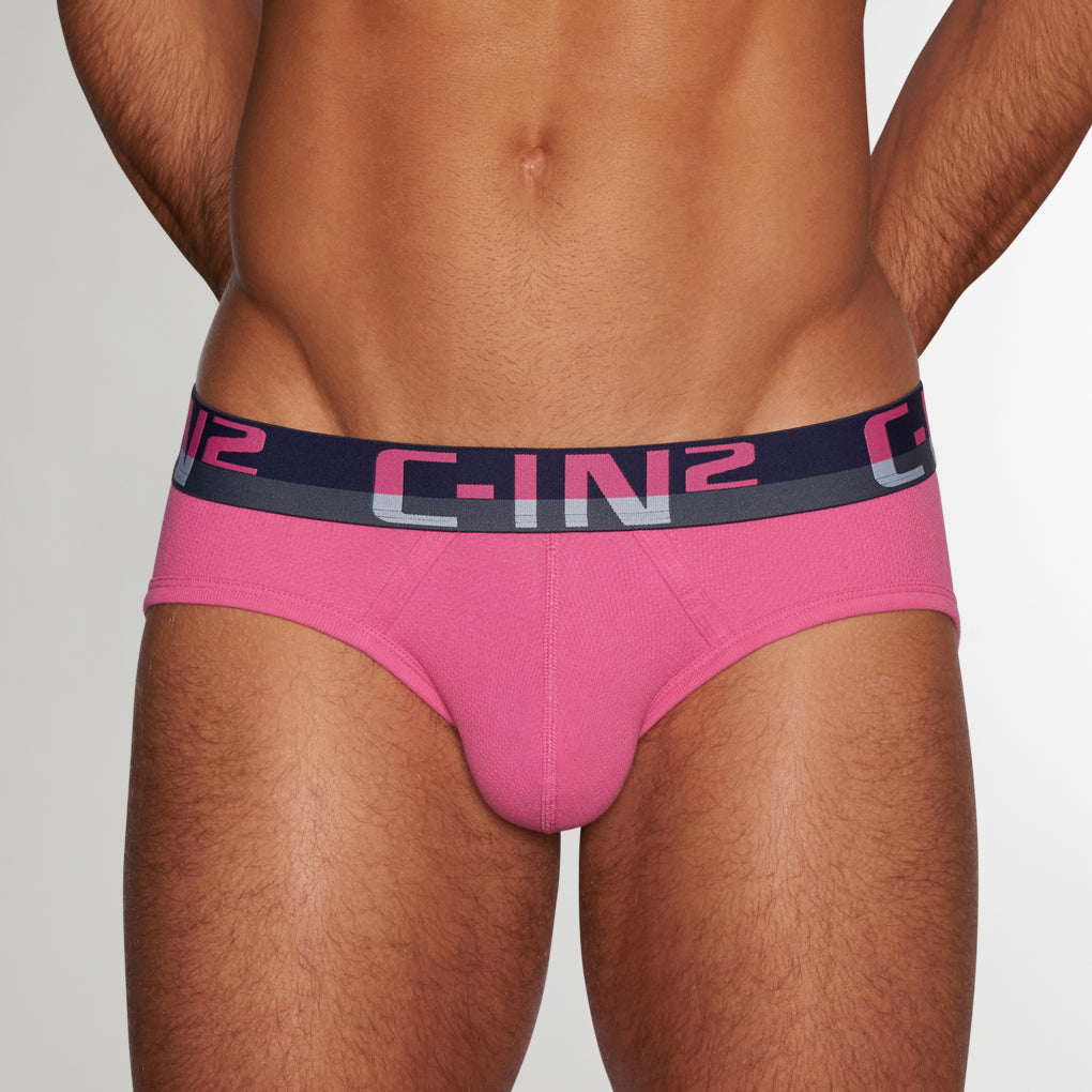 C-IN2 C-Theory Brief Plato-pink