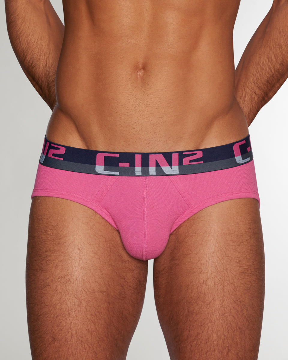 C-IN2 C-Theory Brief Plato-pink