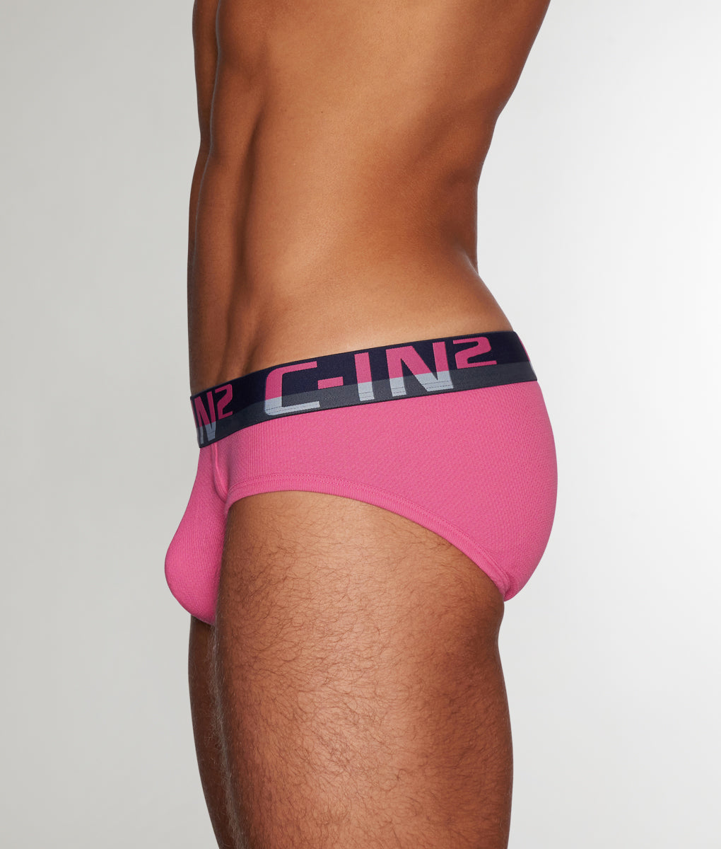 C-IN2 C-Theory Brief Plato-pink