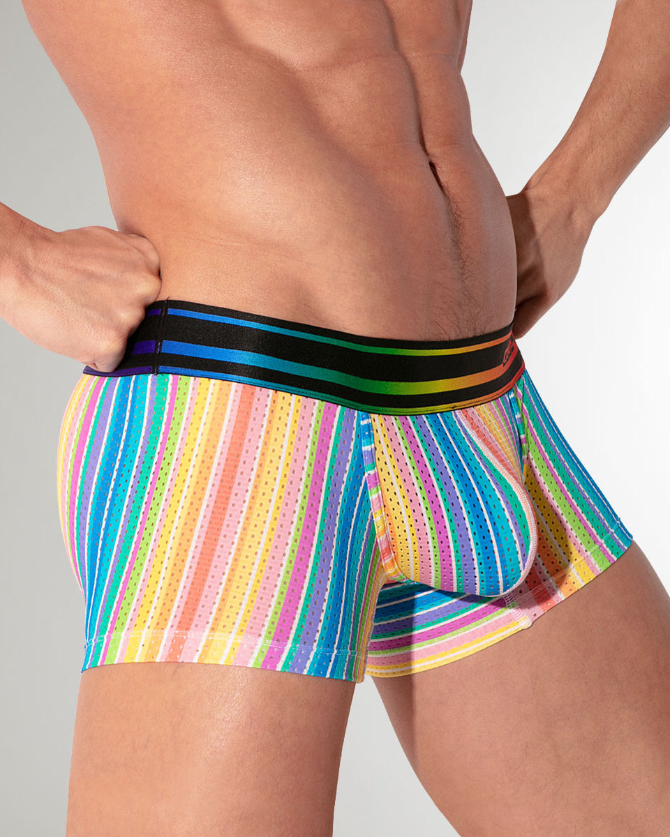CODE 22 Pride 26 Trunk Stripes