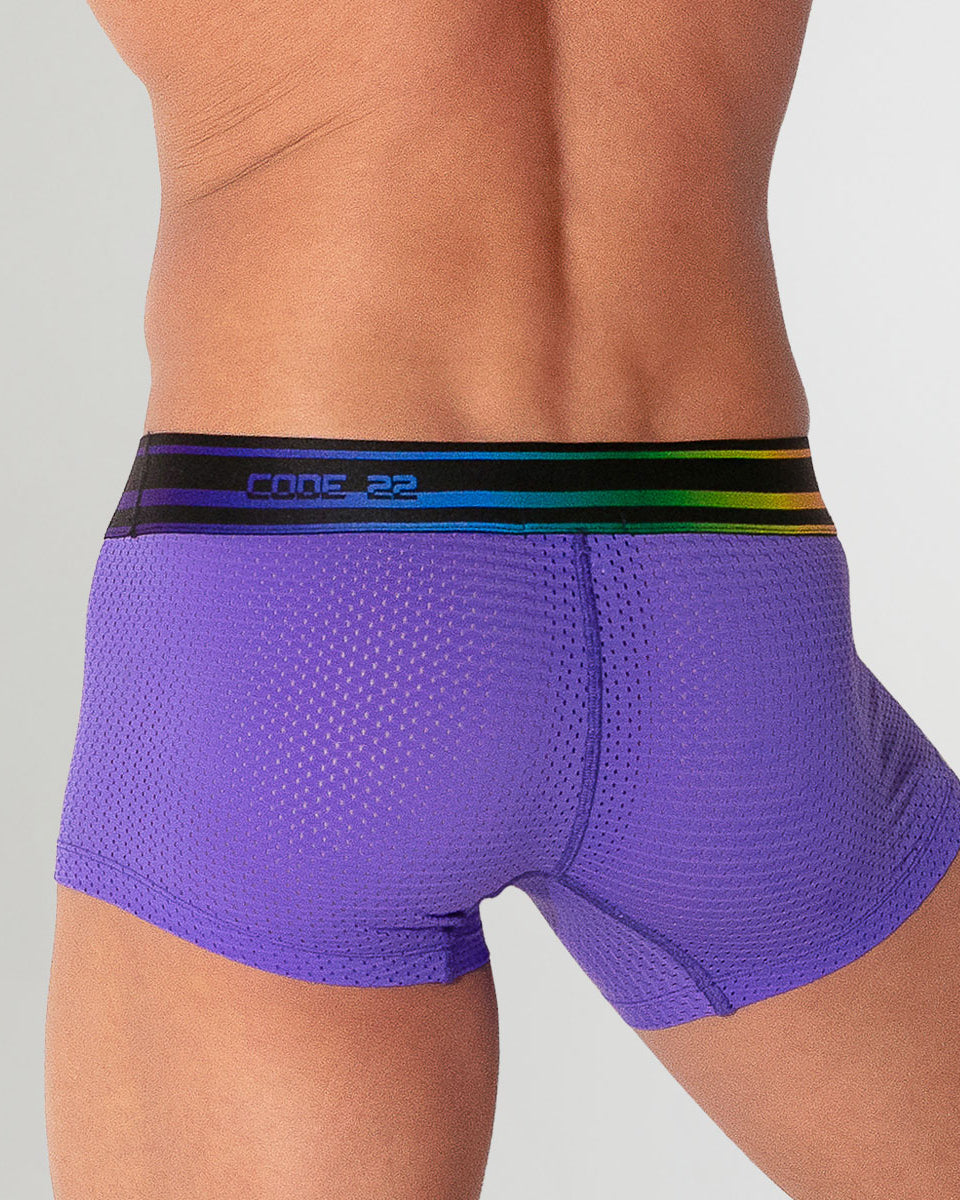 CODE 22 Pride 26 Trunk Grape
