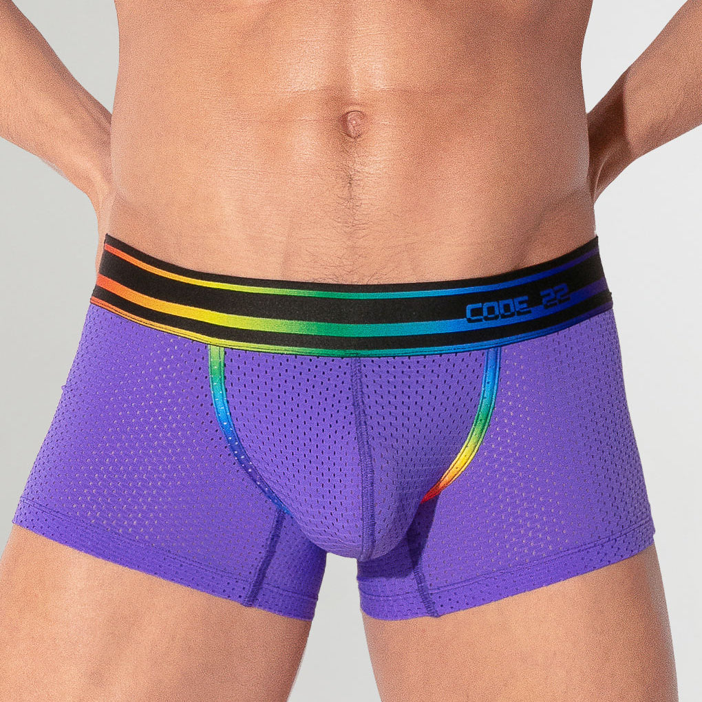 CODE 22 Pride 26 Trunk Grape