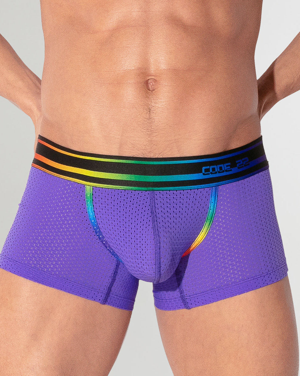 CODE 22 Pride 26 Trunk Grape