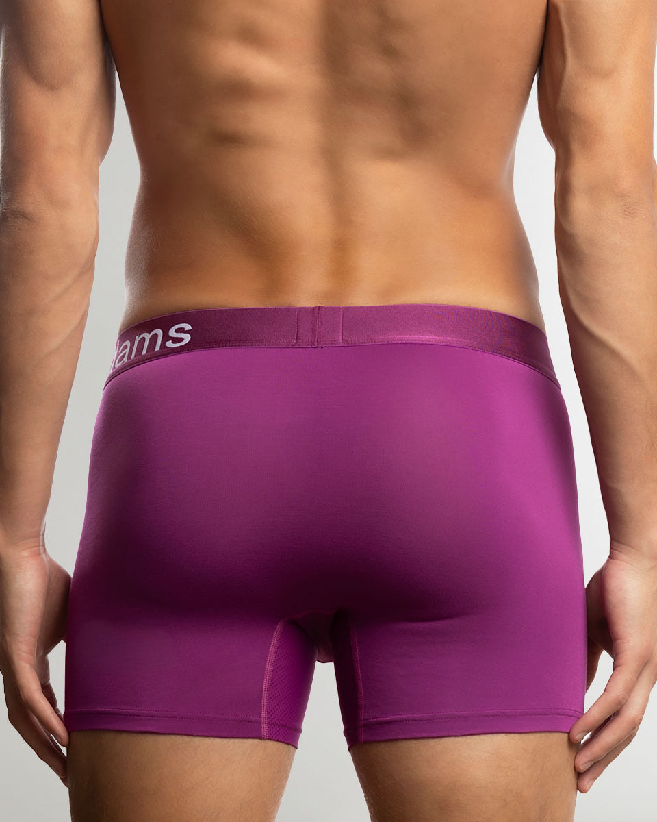 Jack Adams Bamboo Boxer Brief Hollyhack