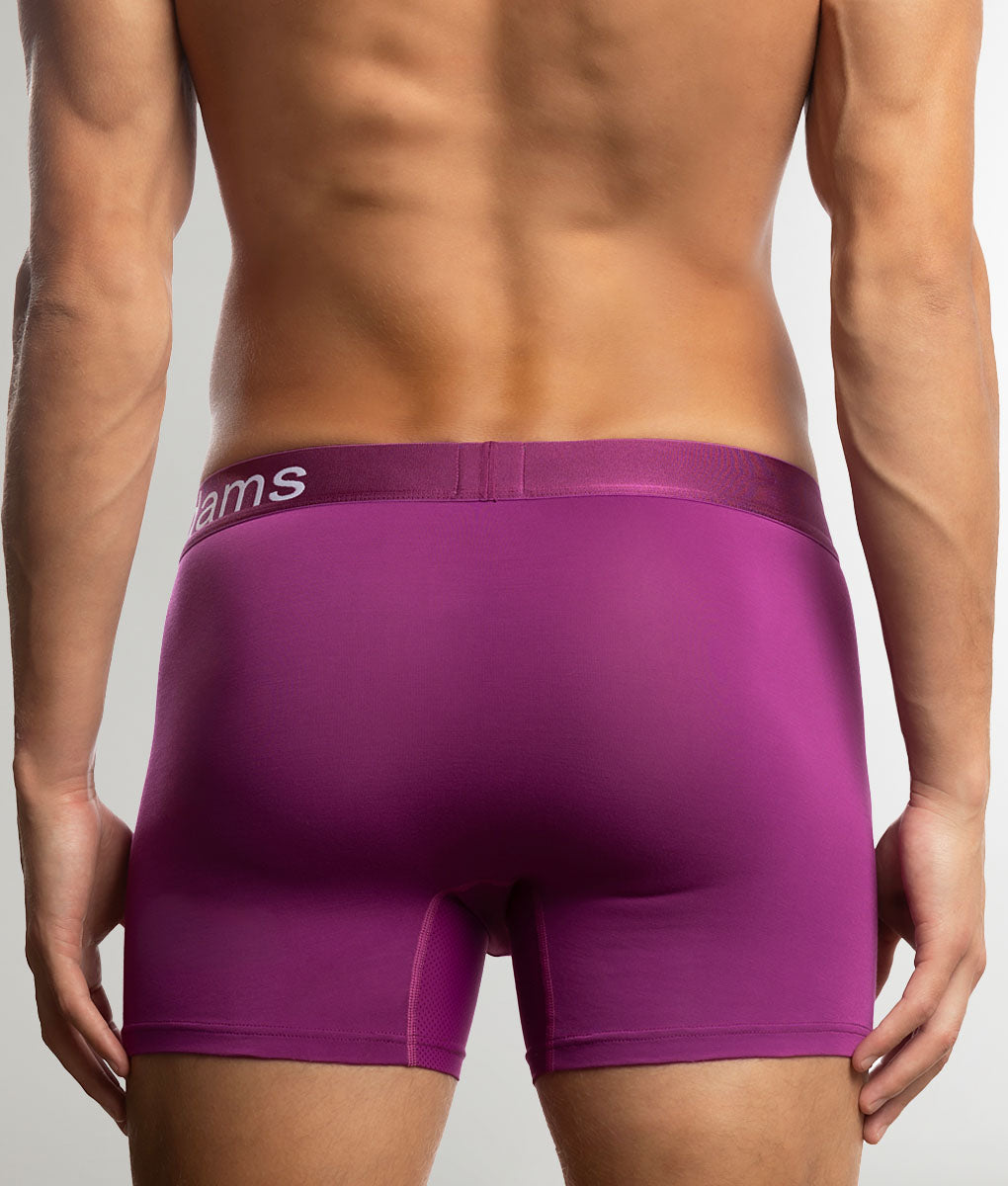Jack Adams Bamboo Boxer Brief Hollyhack