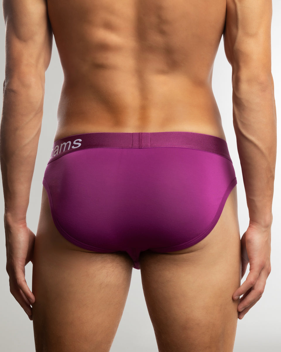Jack Adams Bamboo Brief Hollyhack