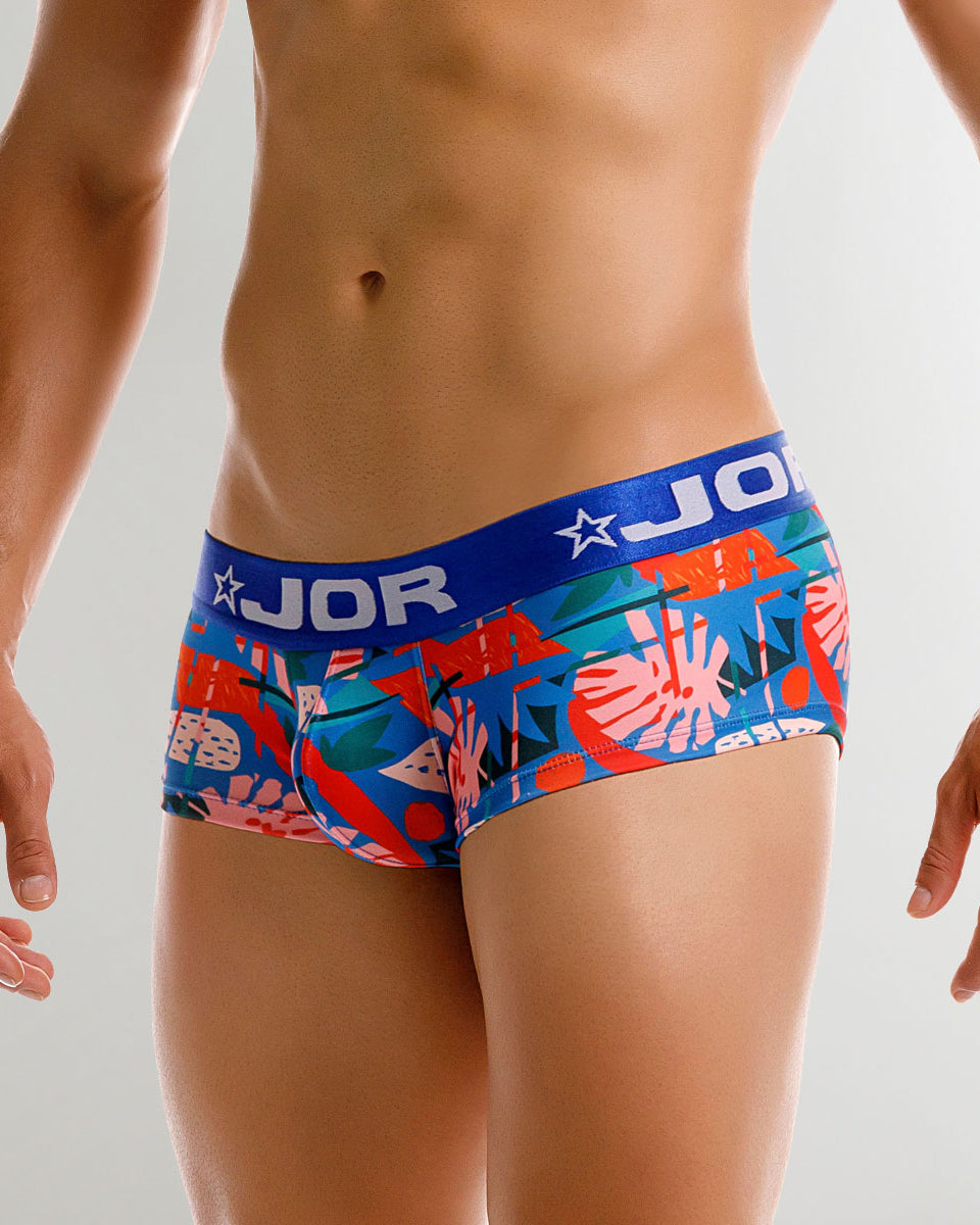 JOR South Trunk Printed