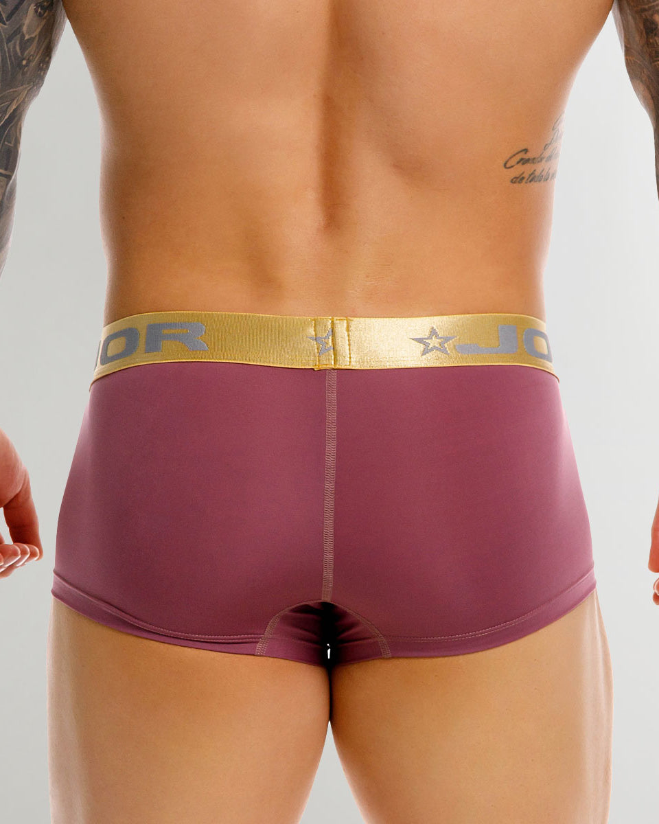 JOR Soho Trunk Wine - men's low-rise microfiber trunk, back view