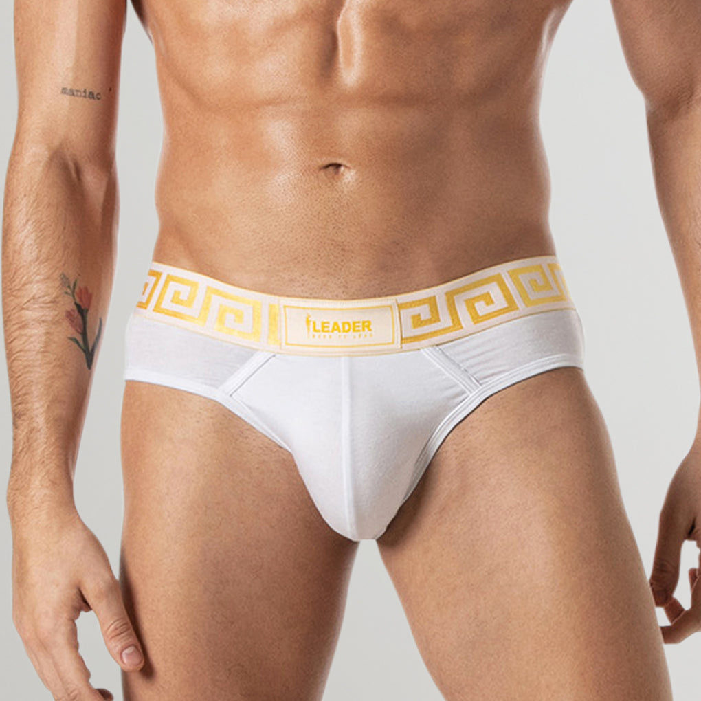 Leader Invictus Brief White