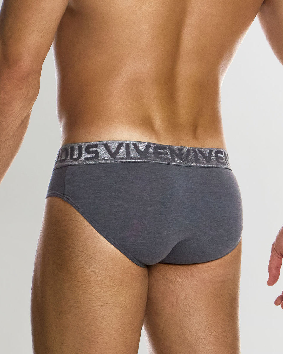 Modus Vivendi Silk Classic Brief Grey