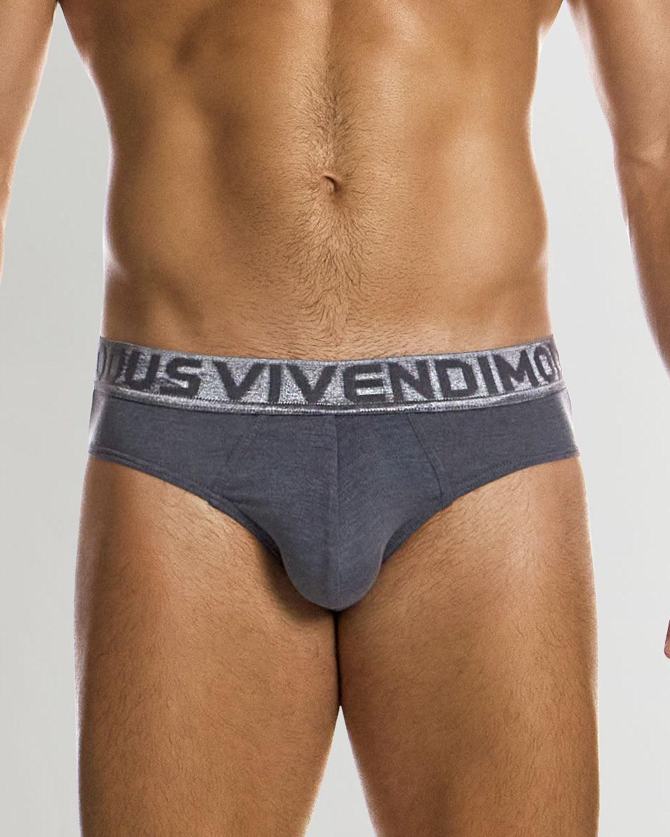 Modus Vivendi Silk Classic Brief Grey