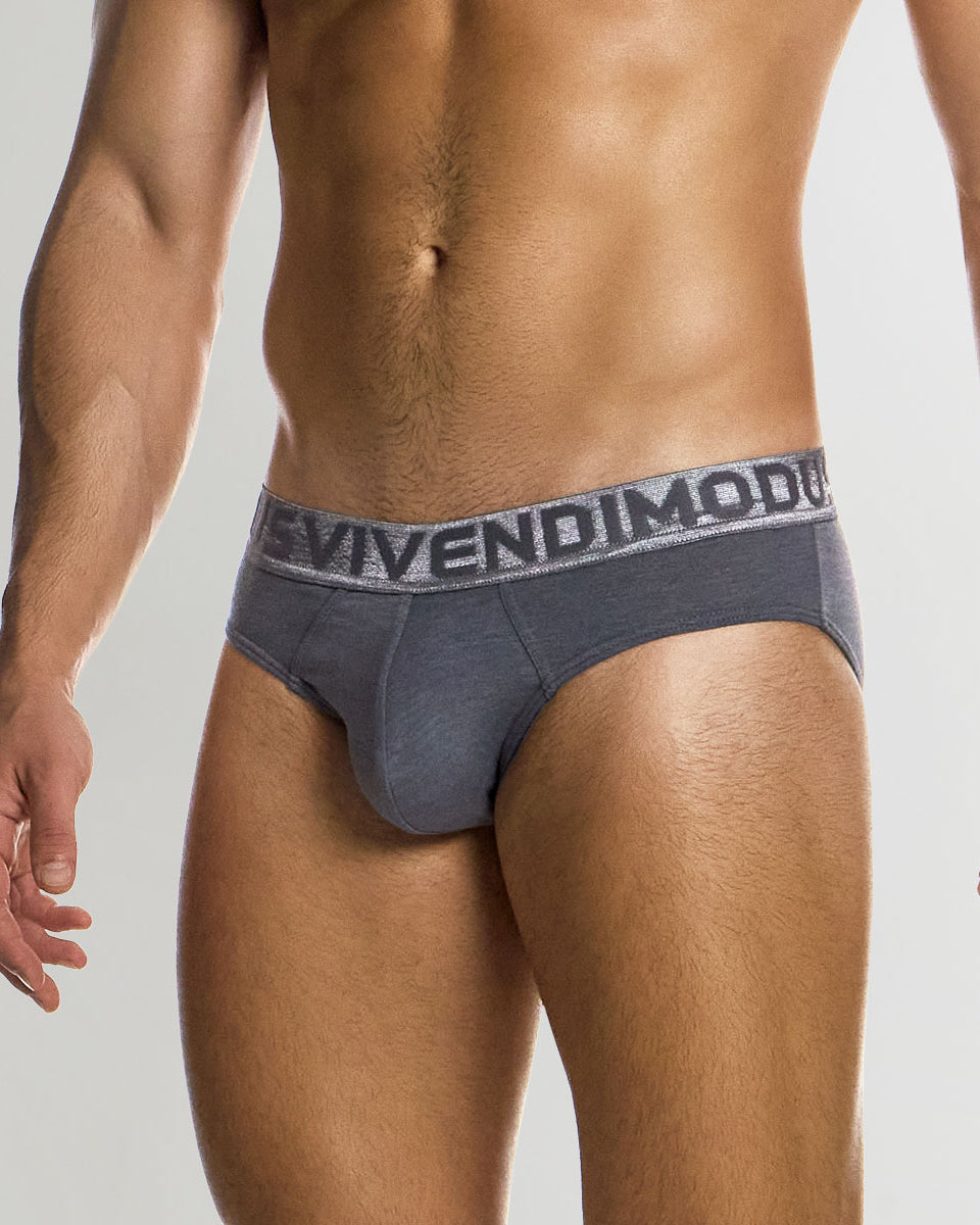 Modus Vivendi Silk Classic Brief Grey