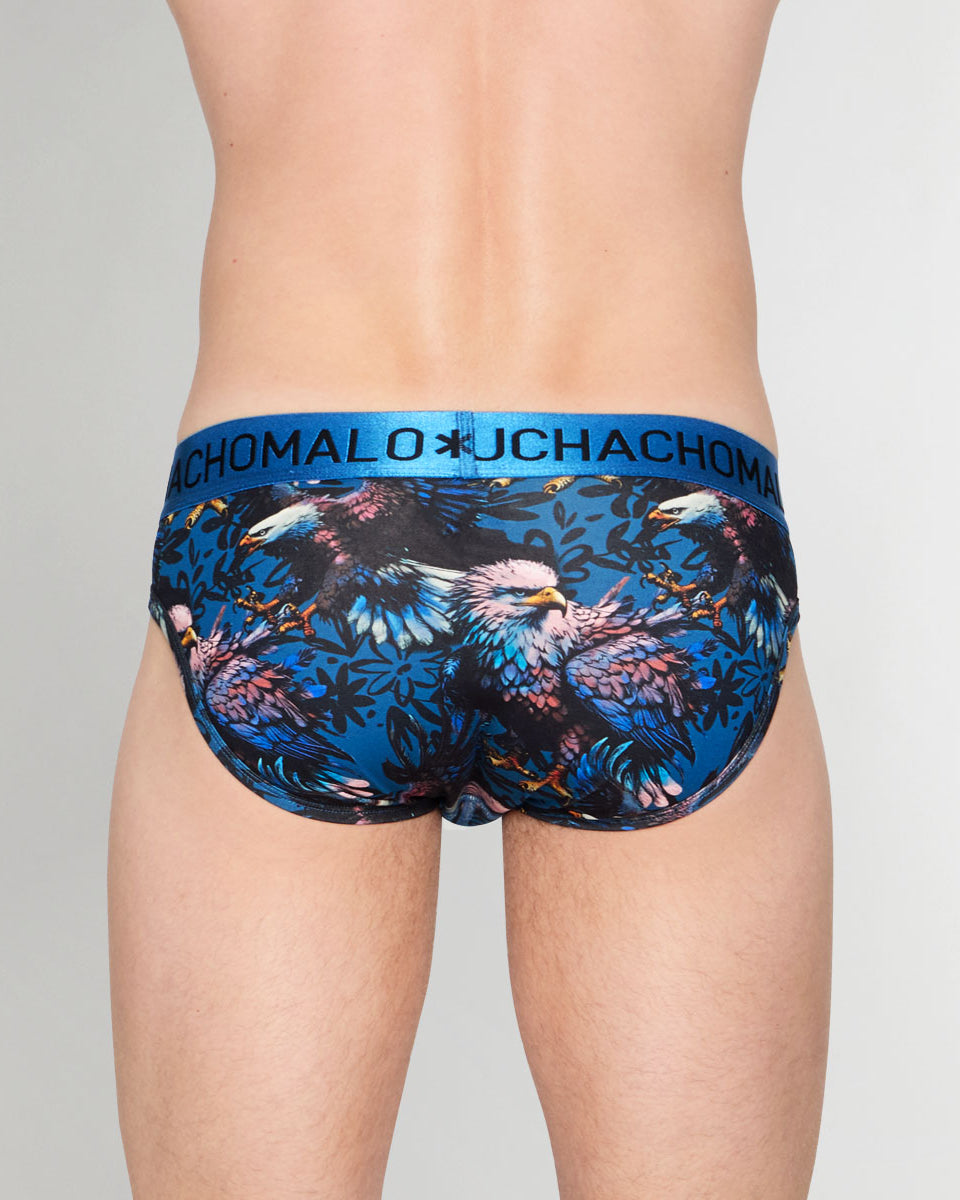 Muchachomalo Eagle Brief Eagle