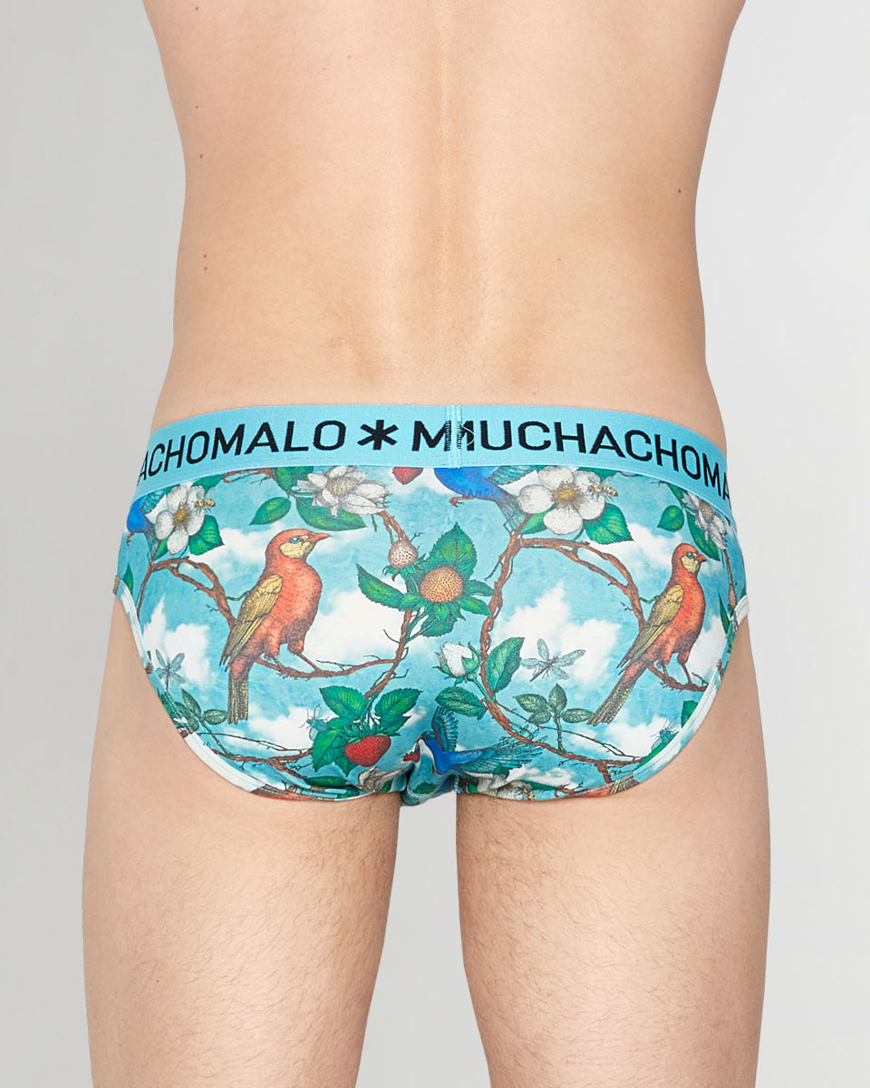 Muchachomalo Fruit Origin Brief Fruit-origin-print-a