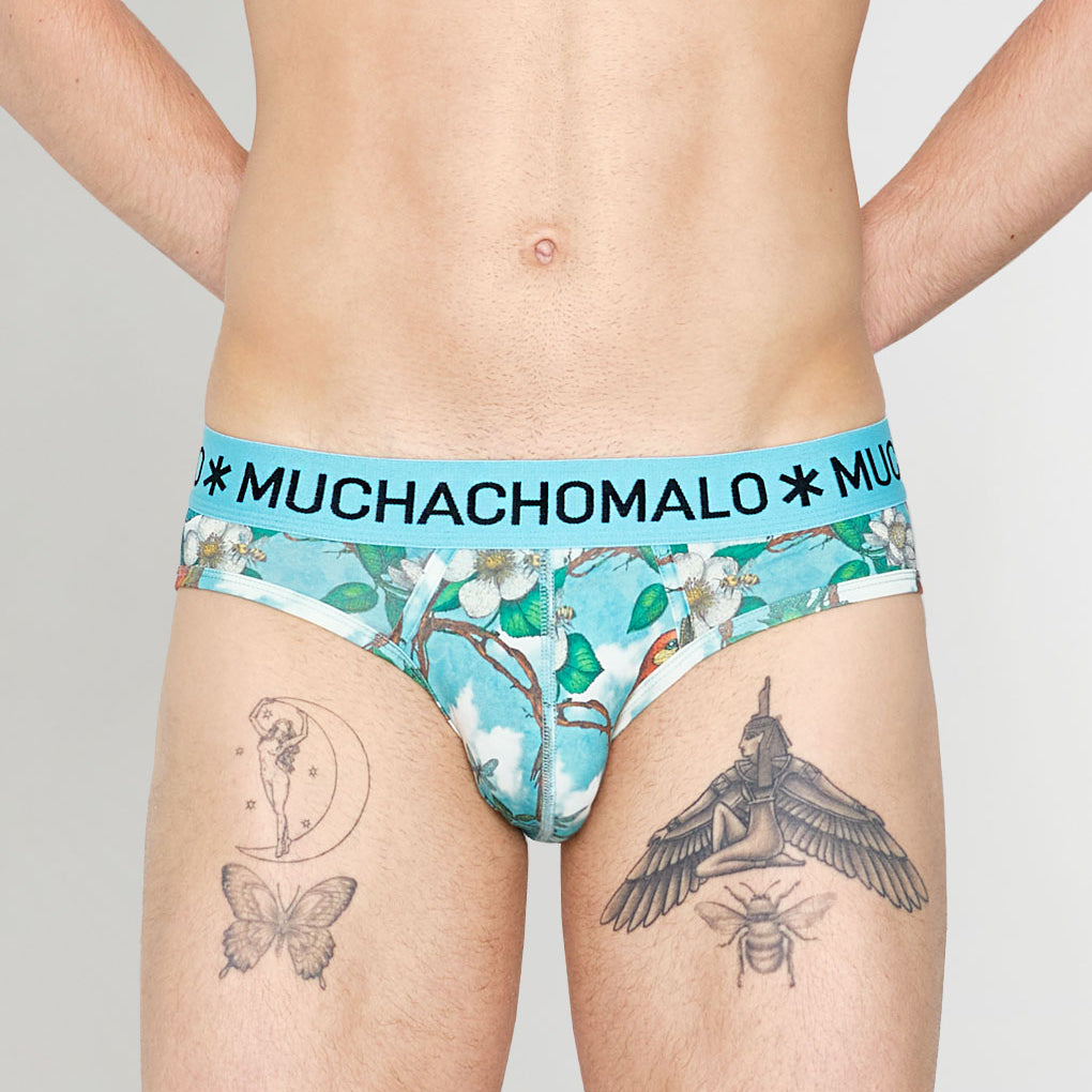 Muchachomalo Fruit Origin Brief Fruit-origin-print-a